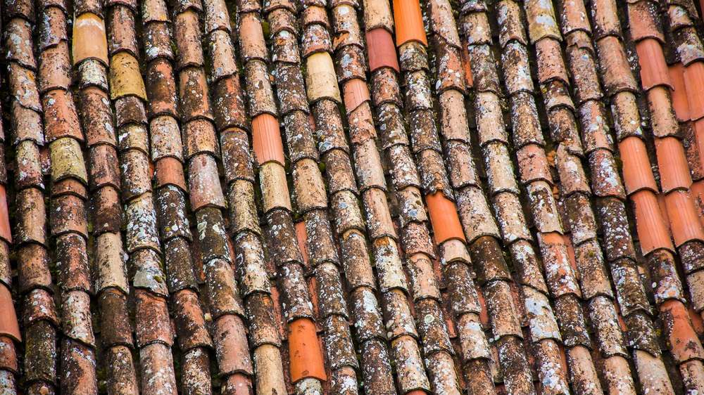 Tuiles canal anciennes couvertes de lichen et de mousse sur un pan exposé au nord